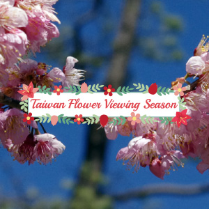 Taiwan Flower Viewing Seasons