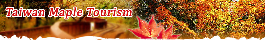 TravelKing Taiwan Maples: Taiwan Maple Scenic Areas & Hotels