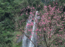 Experience a touch of nature in Wulai