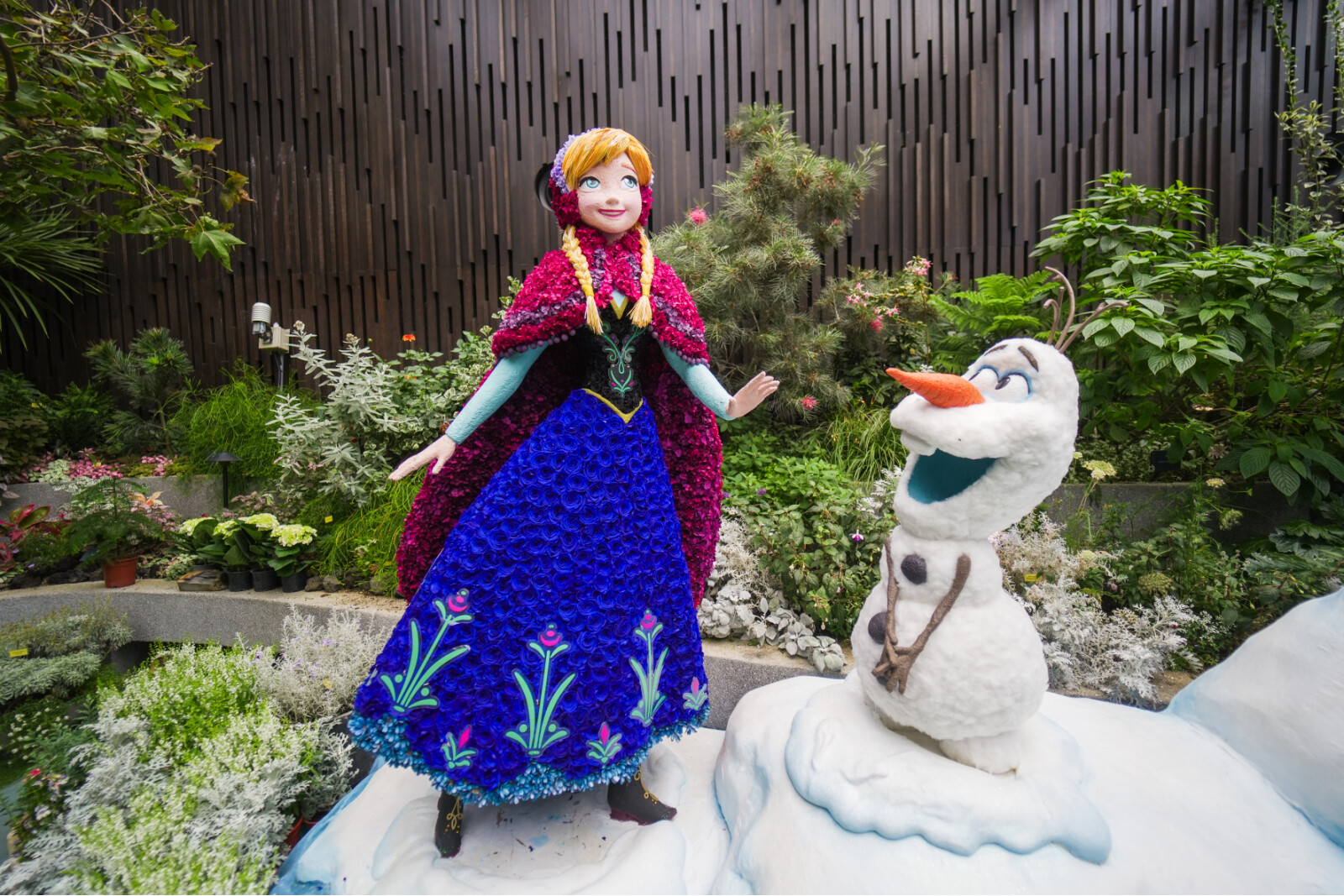 来自《冰雪奇缘》的安娜和雪宝