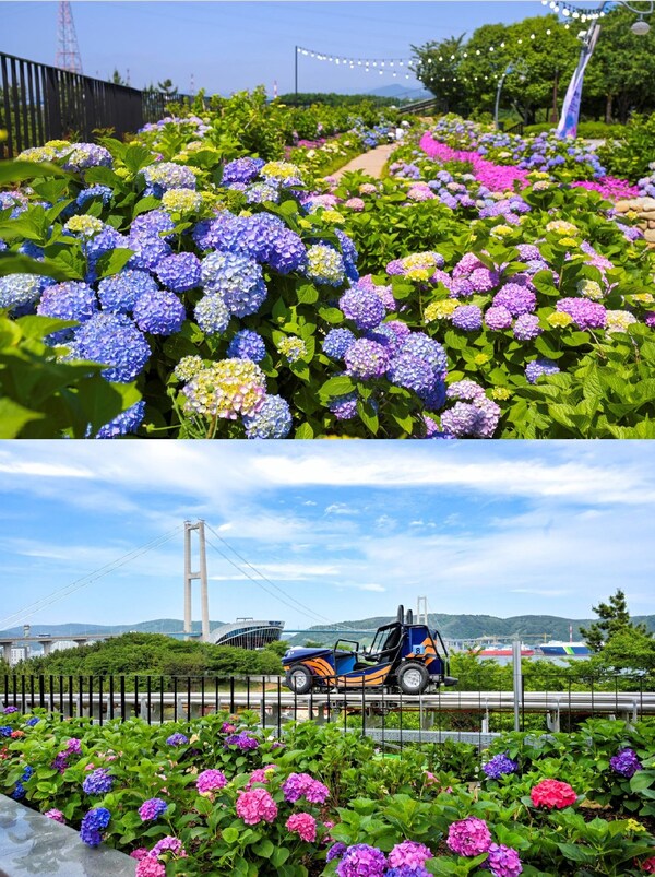 Ulsan Namgu will hold the 5th Jangsaengpo Hydrangea Festival and unveil the Whale Kart.