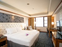 鼎隆國際商旅 HOTEL DION-豪華一大床