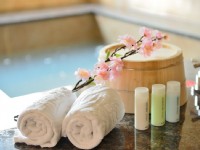 Chyuan Du Spring Resort-spa