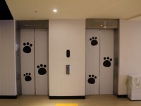 Hey Bear Hostel-