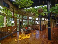 牛耳藝術渡假村-雕之森樹屋餐廳