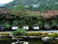 泓泉溫泉渡假村-停車場