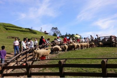 Nantou Cingjing Farm