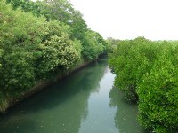 Enjoy Bird-Watching in Kenting & Tainan, Taiwan