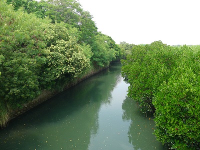 Taijiang National Park (Photo: Mimi)