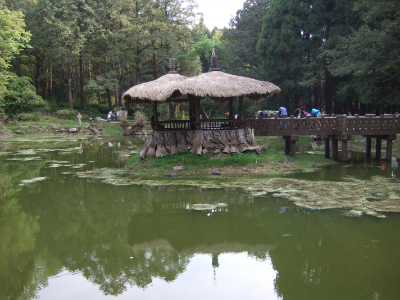Alishan Sisters Ponds (Photo: Mimi H.)