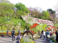(Taipei) Shuttle service to 2013 Danshui Tianyuan Temple Cherry Blossom Festival, Sanzih Cherry Blossom Festival & Yangmingshan Flower Festival