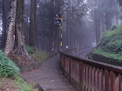 Alishan Forest Recreation Park (Photo:Xcatx)