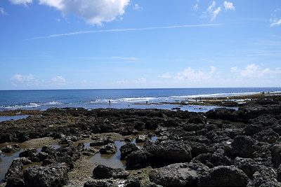 Kenting (by Kevin)