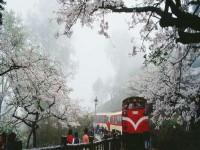 Alishan Shermuh International Tourist Hotel
