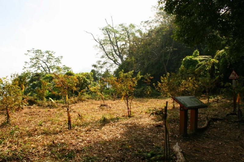 日軍營遺址 攝影：老山羊部落格