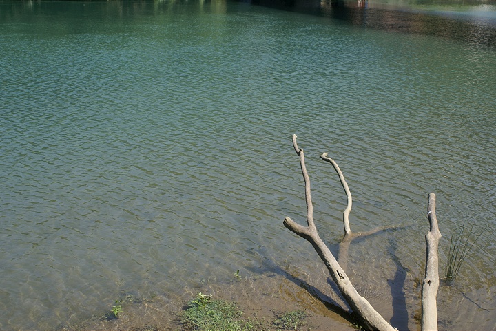 坪林親水公園 攝影：Eva隨手拍