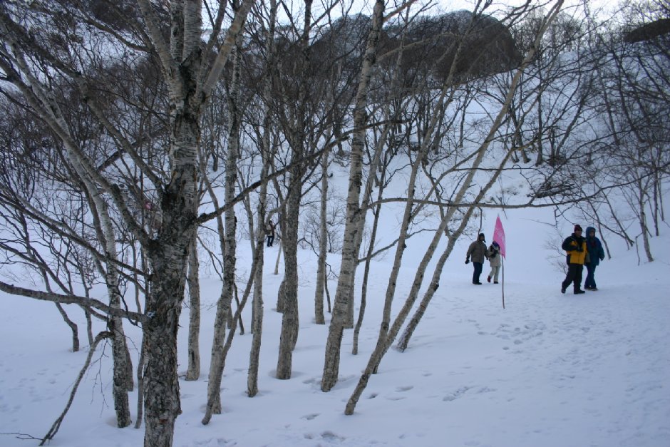 長白山雪景 攝影：馮順