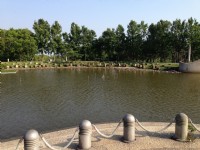 都會公園湖泊佔地廣闊<br/> 攝影：Kate