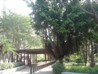 北投公園<br/> 攝影：陳美吟