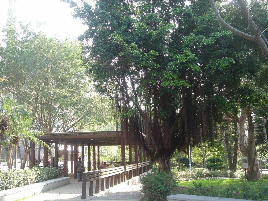 北投公園 攝影：陳美吟