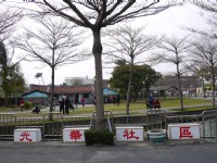 學甲光華里的蜀葵花田<br/> 攝影：三井