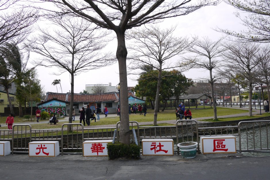 學甲光華里的蜀葵花田 攝影：三井