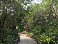 台北典藏植物园<br/> 摄影：Eva隨手拍
