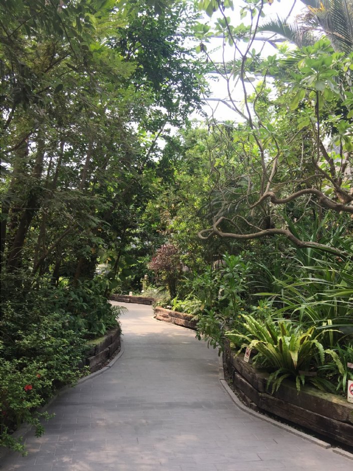 台北典藏植物园 摄影：Eva隨手拍