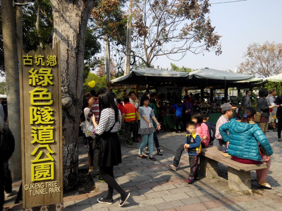 古坑綠色隧道公園 攝影：Lu
