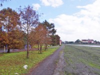 張公圍親水公園<br/> 攝影：Eva隨手拍