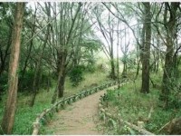三條崙海水浴場親水公園<br/> 攝影：四湖鄉公所