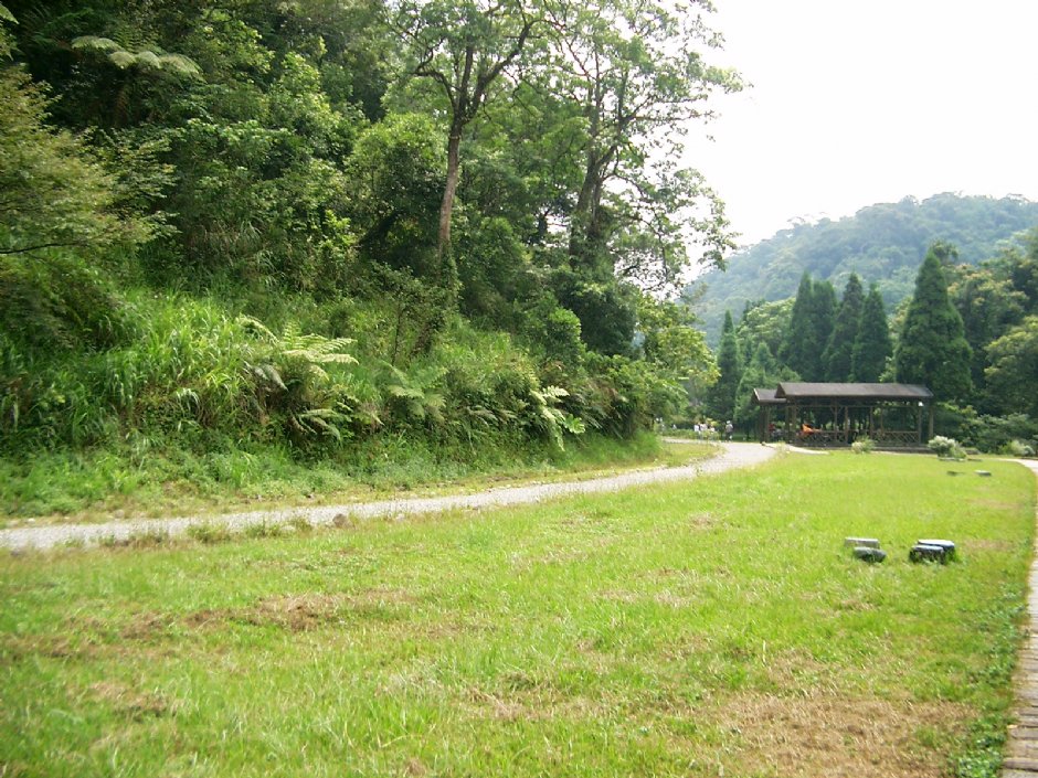 森林步道 攝影：Eva隨手拍