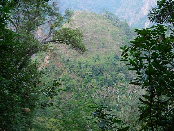 松風山 攝影：老山羊資訊網