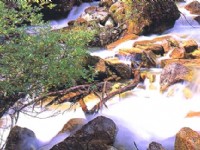 米亞羅風光-01<br/> 攝影：四川旅遊信息網