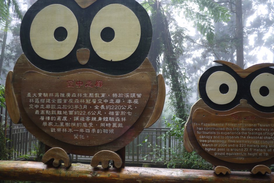 溪頭空中走廊招牌 攝影：三井