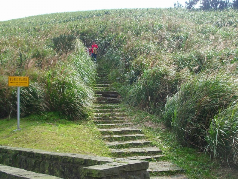 箭竹林步道 攝影：老山羊部落格