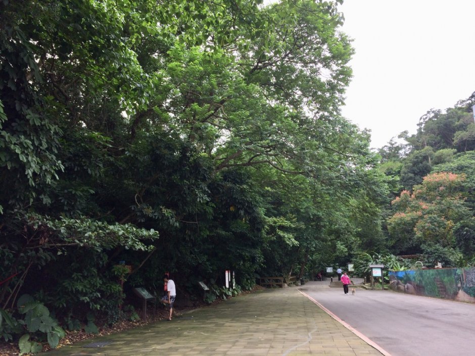 富陽自然生態公園 攝影：Eva隨手拍