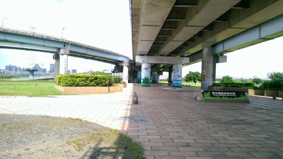 華江雁鴨自然公園 攝影：Eva隨手拍