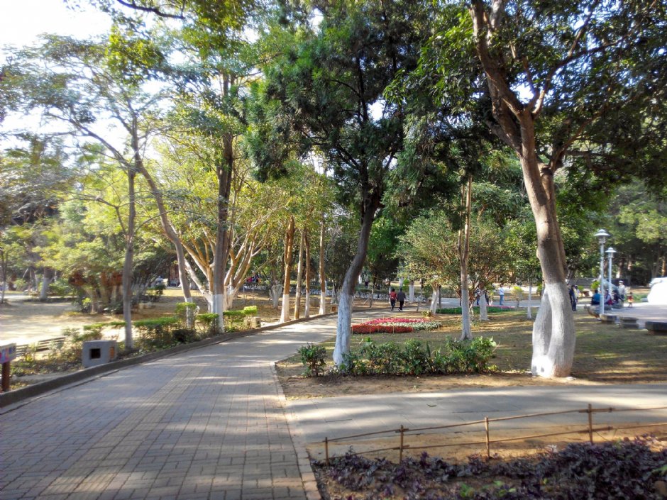 嘉義公園 攝影：Anca