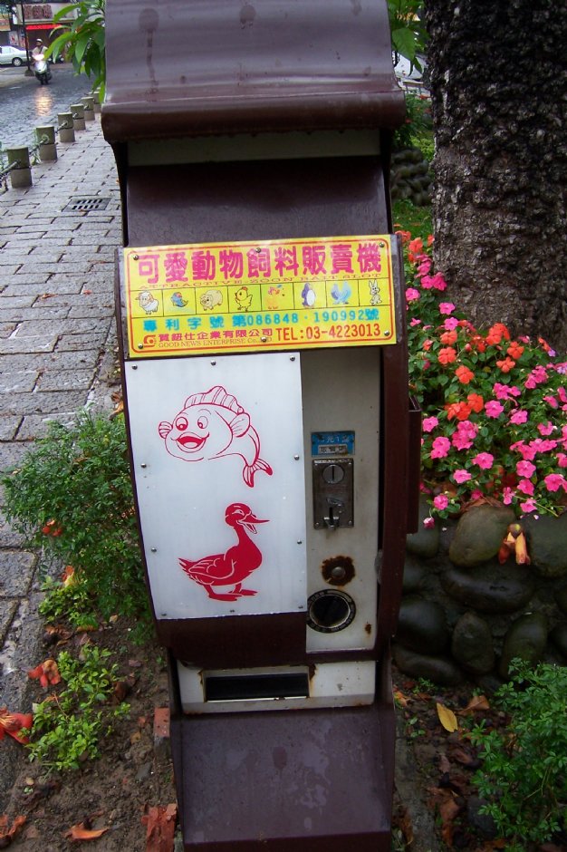 飼料販賣機 攝影：林夢真