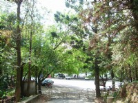 虎子山步道<br/> 攝影：老山羊部落格