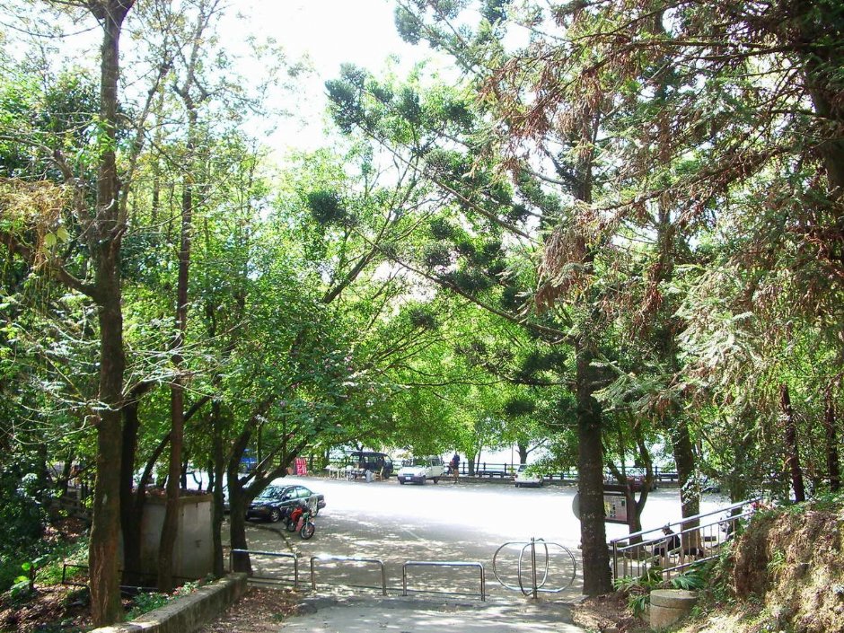 虎子山步道 攝影：老山羊部落格