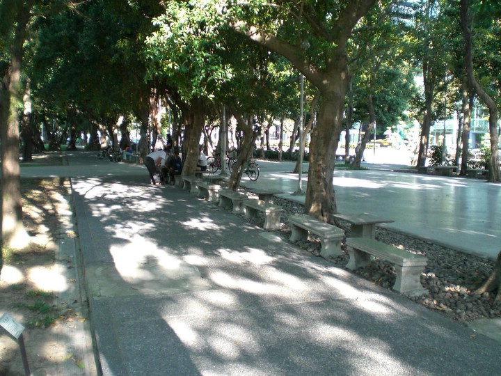 榮星公園 攝影：amo