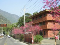 源野號動物標本陳列教育館<br/> 攝影：源野標本工藝社 提供