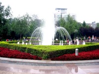 美麗園景<br/> 攝影：方盛文