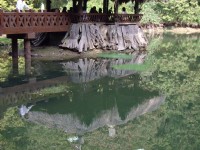 Alishan Sisters Ponds