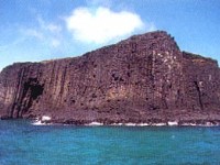 鳥嶼