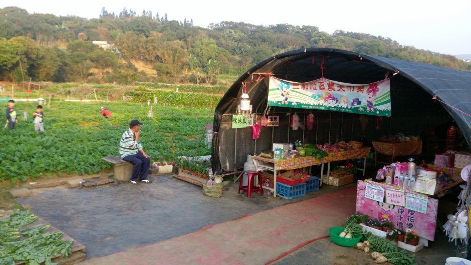 大坑溪三生步道 攝影：Eva隨手拍