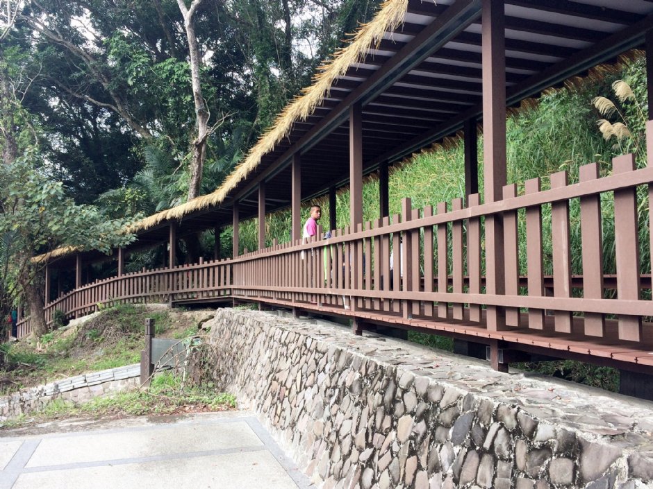 新溪口吊橋下步道 攝影：Eva隨手拍
