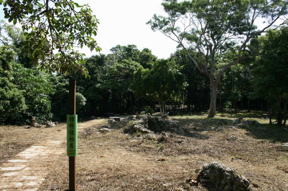 樟科植物區 攝影：老山羊部落格